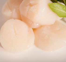 帶子